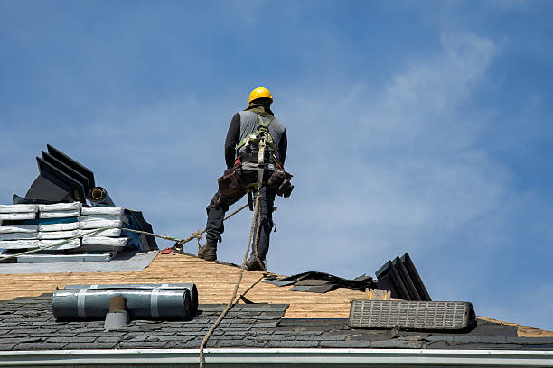 Professional Roof Replacement technician working in Bells, TX